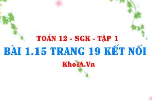 Bài 1.15 trang 19 Toán 12 tập 1 Kết nối tri thức